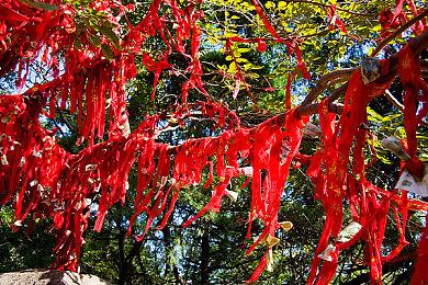 NEOWIZ P&E游戏“Crypto Golf Imfact”，进行200万人民币规模的分发活动